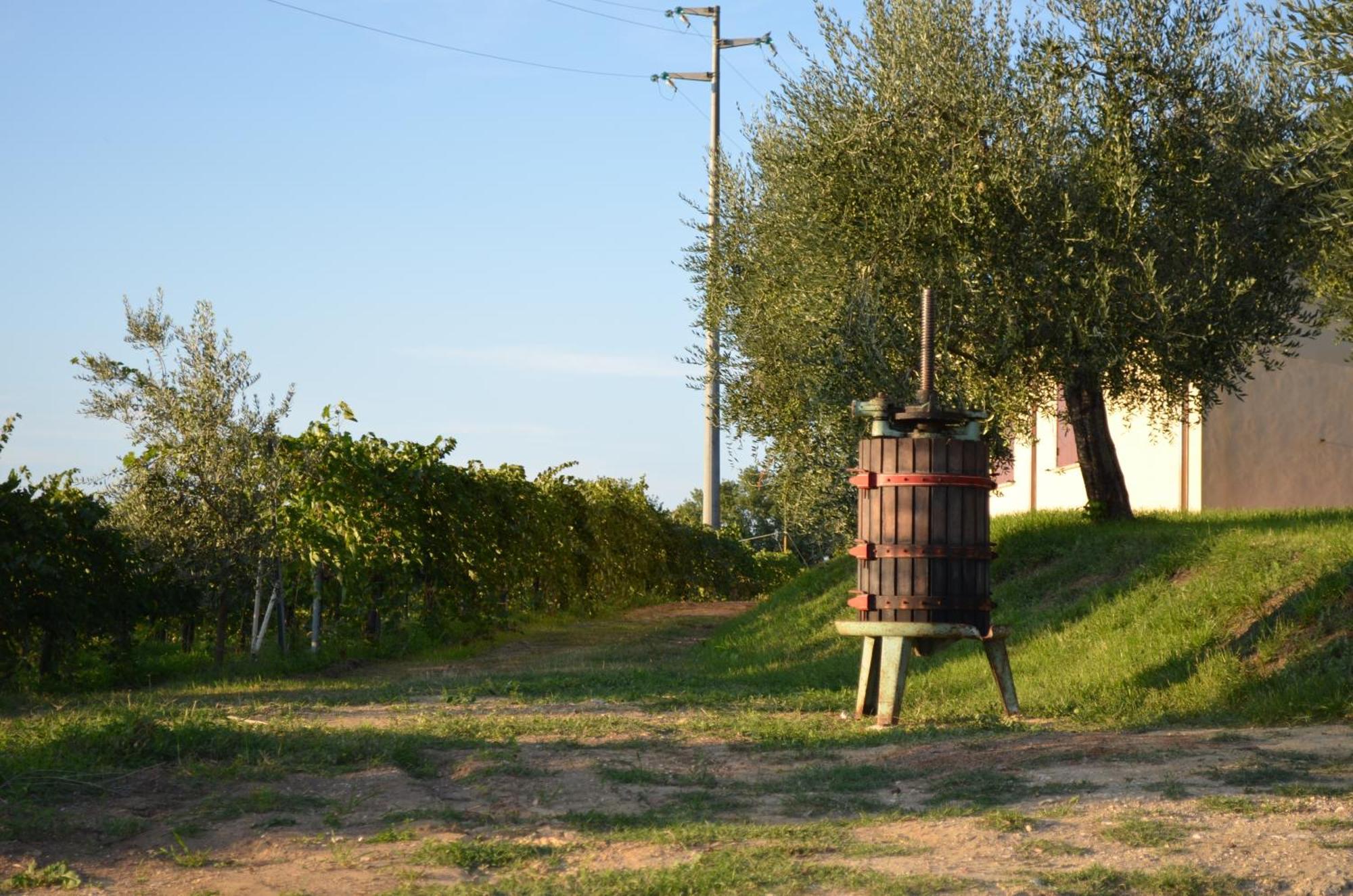 Agriturismo Casale Contessa Montebuono  Luaran gambar