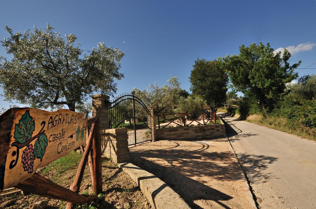 Agriturismo Casale Contessa Montebuono  Luaran gambar