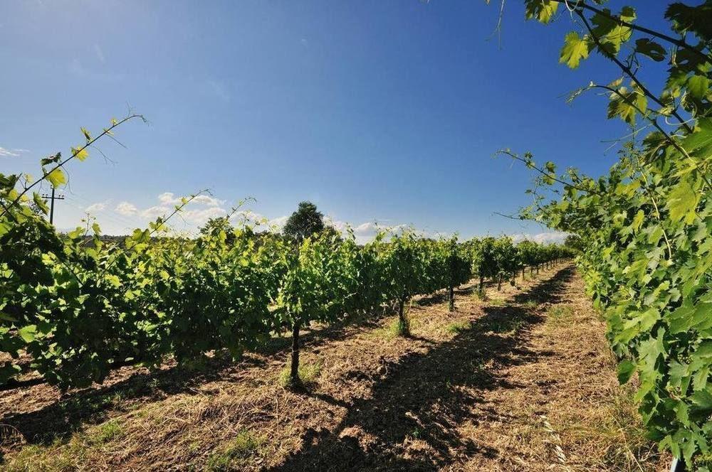 Agriturismo Casale Contessa Montebuono  Luaran gambar